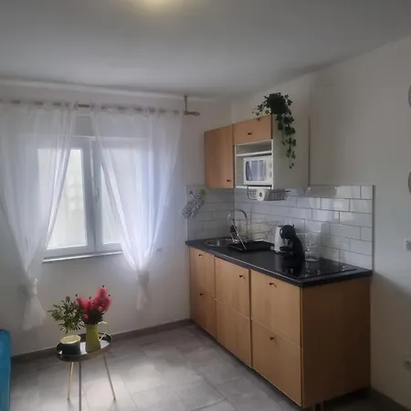 Apartman Delminium Vir