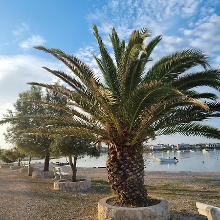 Delminium Apartman Vir