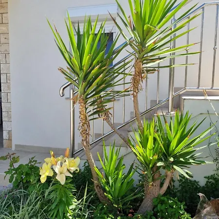 Apartman Delminium
